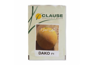 عرضه بذر ملون گالیا داکو با بهترین کیفیت در زاهدان نوع رقم هیبرید F1