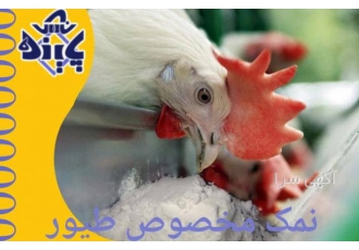 فروش ویژه نمک مخصوص طیور نمک پاینده نمک مخصوص دام و طیور را با بهترین
