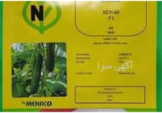 فروش بذر خیار گلخانه ای ۴۸۵ با کیفیت در اصفهان این رقم دارای میوه ای