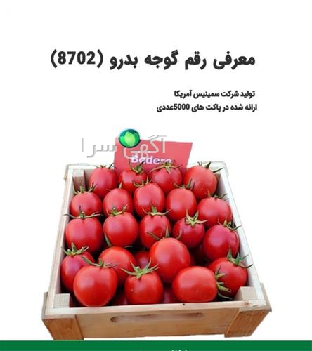 آگهی های کشاورزی و دامداری - آبژدان