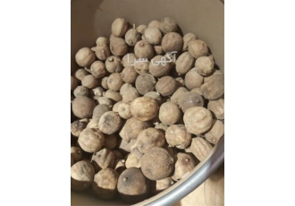 فروش لیمو عمانی در تهران لیمو عمانی مصری با بهترین کیفیت و قیمت همراه