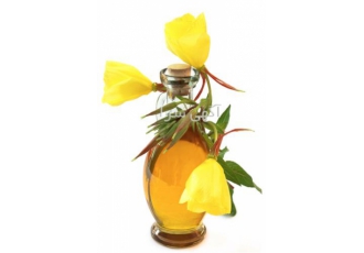 تجربه رویایی با استفاده از روغن گل مغربی ارگانیک در اصفهان آیا به دنبال