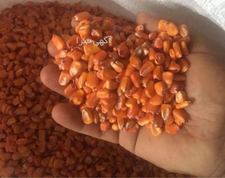 آگهی های کشاورزی - اردبیل