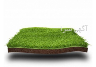 فروش انواع چمن به قیمت تولیدی در تهران انواع چمن در مدل های مختلف