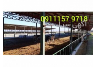 فروش دامداری در ساری فروش دامداری در مازندران گروه تخصصی مهندسین دام