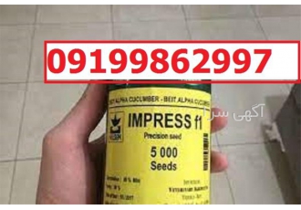 بذر گوجه فرنگی ویلمورین پرفروش اصل