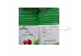 بذر گوجه ( عرضه بذر گوجه فرنگی بدرو )