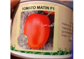 بذر گوجه فرنگی متین با کیفیت بالا و بازار پسند