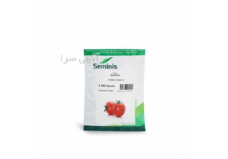 بذر گوجه فرنگی بدرو باکیفیت اصل با ارسال رایگان