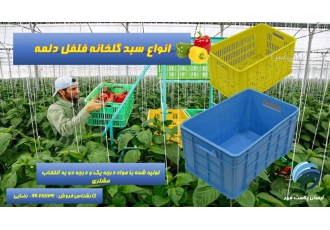 سبد سورتینگ فلفل سبد سورتینگ فلفل ابعاد 31 40 5 61 وزن 2700 گرم ظرفیت