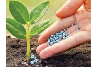 فروش کود کشاورزی NPK با قیمت مناسب در اهواز عناصر معدنی به عنوان مهم
