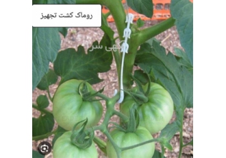 ابزار کارآمد برای نگهداری از خوشه های میوه