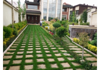 طراحی و اجرا فضای سبز