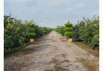 فروش باغ با سند عرصه و اعیان