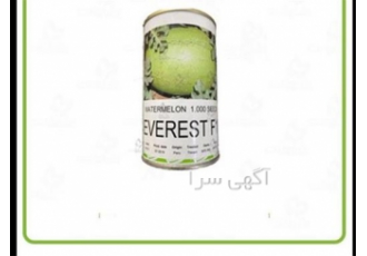 قیمت بذر هندوانه اورست درجه یک