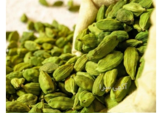 پخش انواع هل سبز با کیفیت لوکس و مصارف غذایی در یزد پخش انواع هل سبز