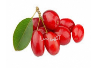 اسانس خوراکی زغال اخته در تهران اسانس خوراکی زغال اخته زغال اخته دارای