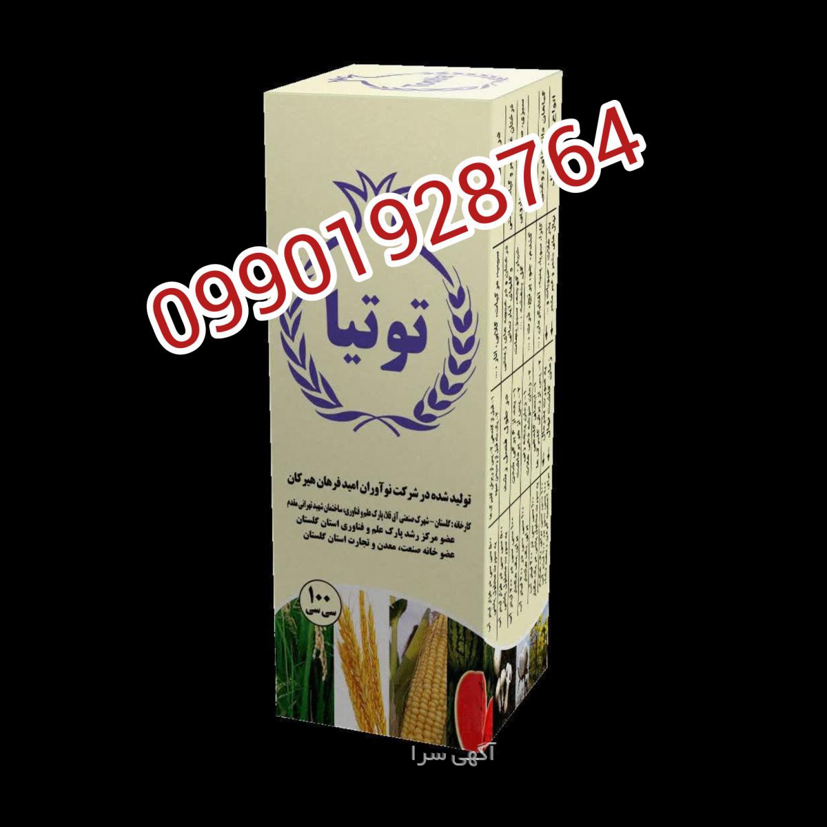 بذر گلهای آپارتمانی
