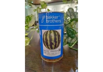 فروش بذر هندوانه سفید بیکر فروش بذر هندوانه سفید بیکر