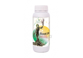 کود Root P روت پی امامی کورپ در اصفهان قدرتمند ترین محرک ریشه غیر