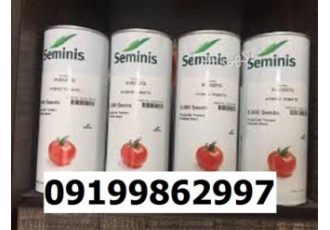 بذر گوجه فرنگی 8320 - با کیفیت
