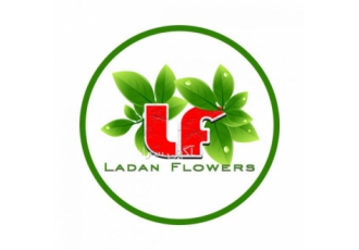 فروش انواع گیاه آپارتمانی