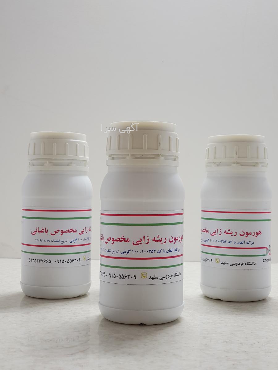 بذر کاکتوس