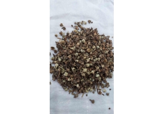 فروش بذر گل گاوزبان فروش بذر گل گاوزبان با قوه نامیه بالا فروش گل