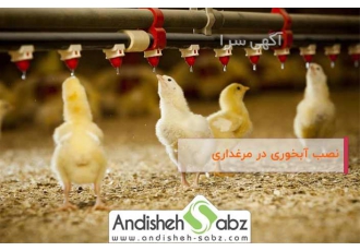 فروش آب خوری و دان خوری مرغ در تهران فروش ویژه آب خوری و دان خوری مخصوص
