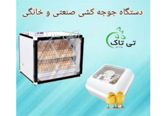 فروش دستگاه جوجه کشی صنعتی و خانگی، جوجه کشی