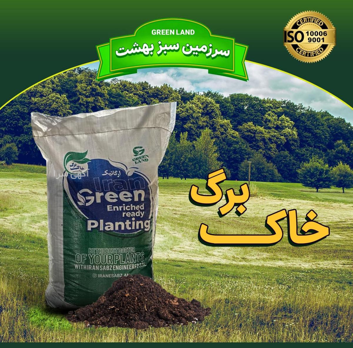 بذر کاکتوس