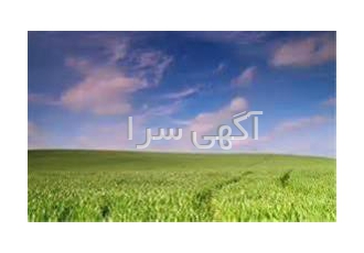 فروش زمین ۴۵ هکتاری در بهشهر یک قطعه زمین کشاورزی واقع در 7کیلومتری