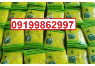 بذر خیار کیهان پرفروش بذر خیار در شیراز فروش بذر اصل بذر خیار کیهان