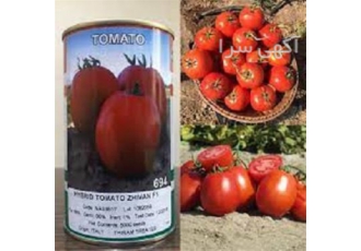 بذر گوجه فرنگی ژیوان