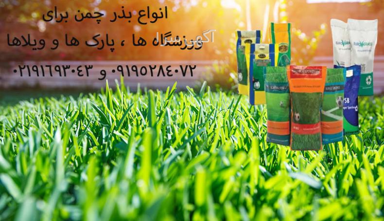 آگهی های گل و گیاه - البرز