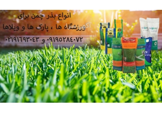 فروش بذر چمن آفریقایی – هر کیلو بذر چمن برای چند متر بذر چمن آفریقایی