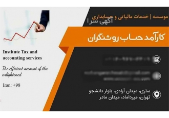 انجام خدمات مالی ، گزارش حسابرسی ، حسابرسی داخلی و مستقل