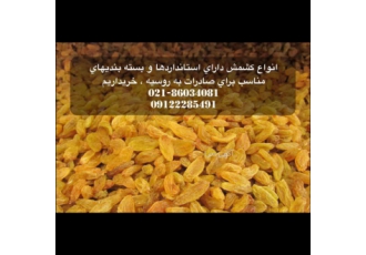 کشمش جهت صادرات خریداریم قابل توجه دوستان