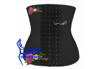 نمایندگی گن لاغری در شیراز