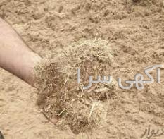 آگهی های دامداری - خوزستان