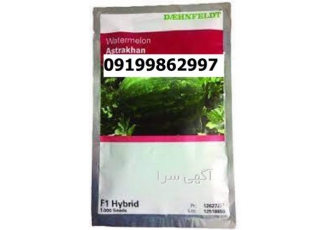 بذر هندوانه استاراخان پرفروش در اصفهان بذر هندوانه استاراخان یکی