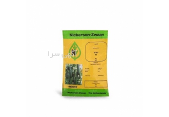 فروش بذر خیار گلخانه ای کیهان قیمت پایین در شیراز ساقه ضخیم سیستم ریشه