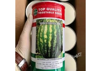 بذر هندوانه ناسکو اصل شرکتی در زنجان دارای تیپ میوه ی بیضی است وزن