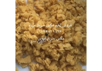 فروش ویژه تخم مگس سرباز سیاه BSF