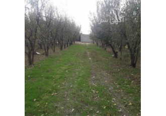 فروش قطعه زمین ۳ هکتاری در هشتگرد یک قطعه زمین 3 هکتاری 100 300 دارای