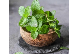 تولید اسانس طبیعی نعناع در کاشان اسانس طبیعی نعناع محصولی سنتی