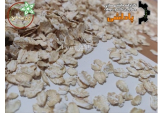 تولید جو پرک بخارپز و گندم پرک شده با کیفیت در سمنان بهترین تولید کننده