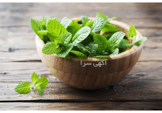 اسانس و عصاره طبیعی نعناء ویژه صنایع تولیدی کشور در کاشان اسانس و عصاره