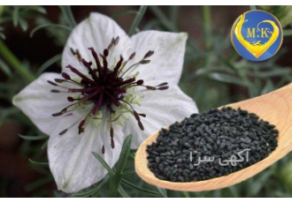 فروش سیاه دانه هندی و سوری فروش مرغوبترین نوع سیاه دانه هندی و سوری