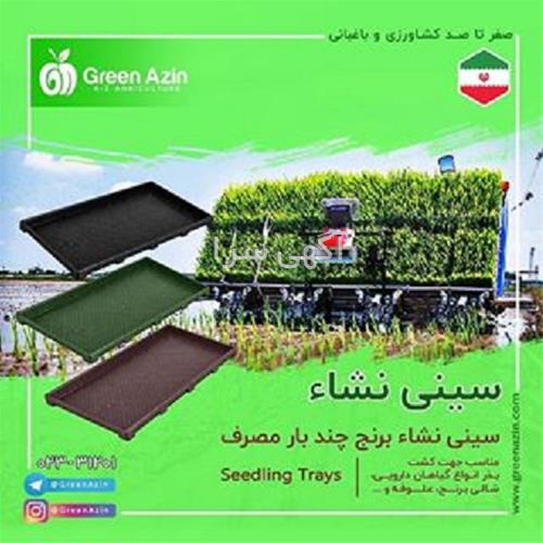 گلخانه کاکتوس